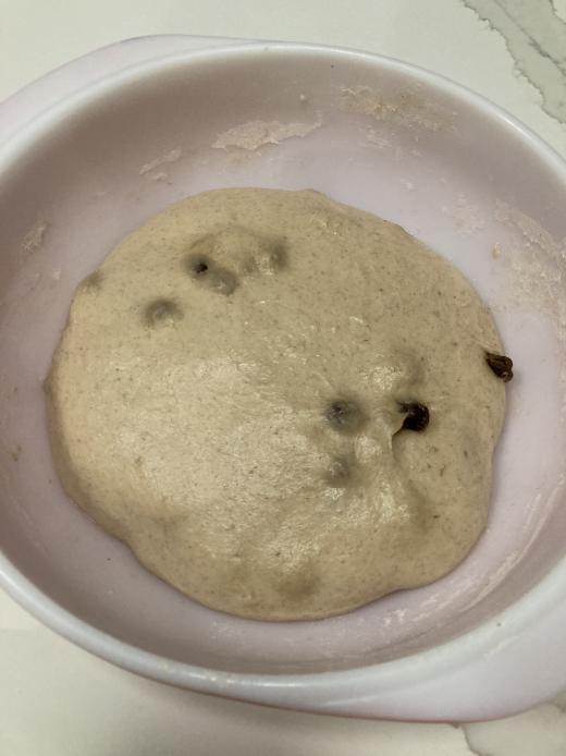 Cinnamon Raise Bagel Bulk Fermentation