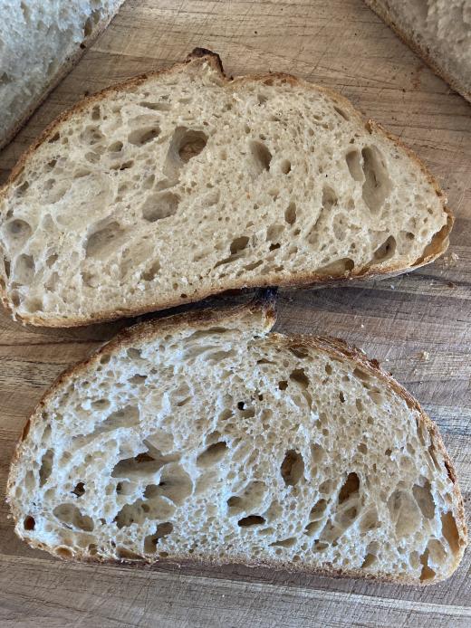 Final Sourdough Slices with Open Crumb