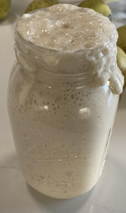 Sourdough Starter