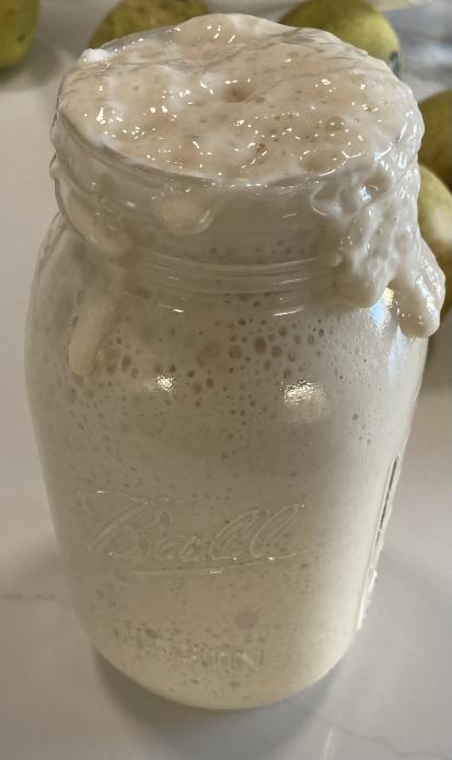 Sourdough Starter